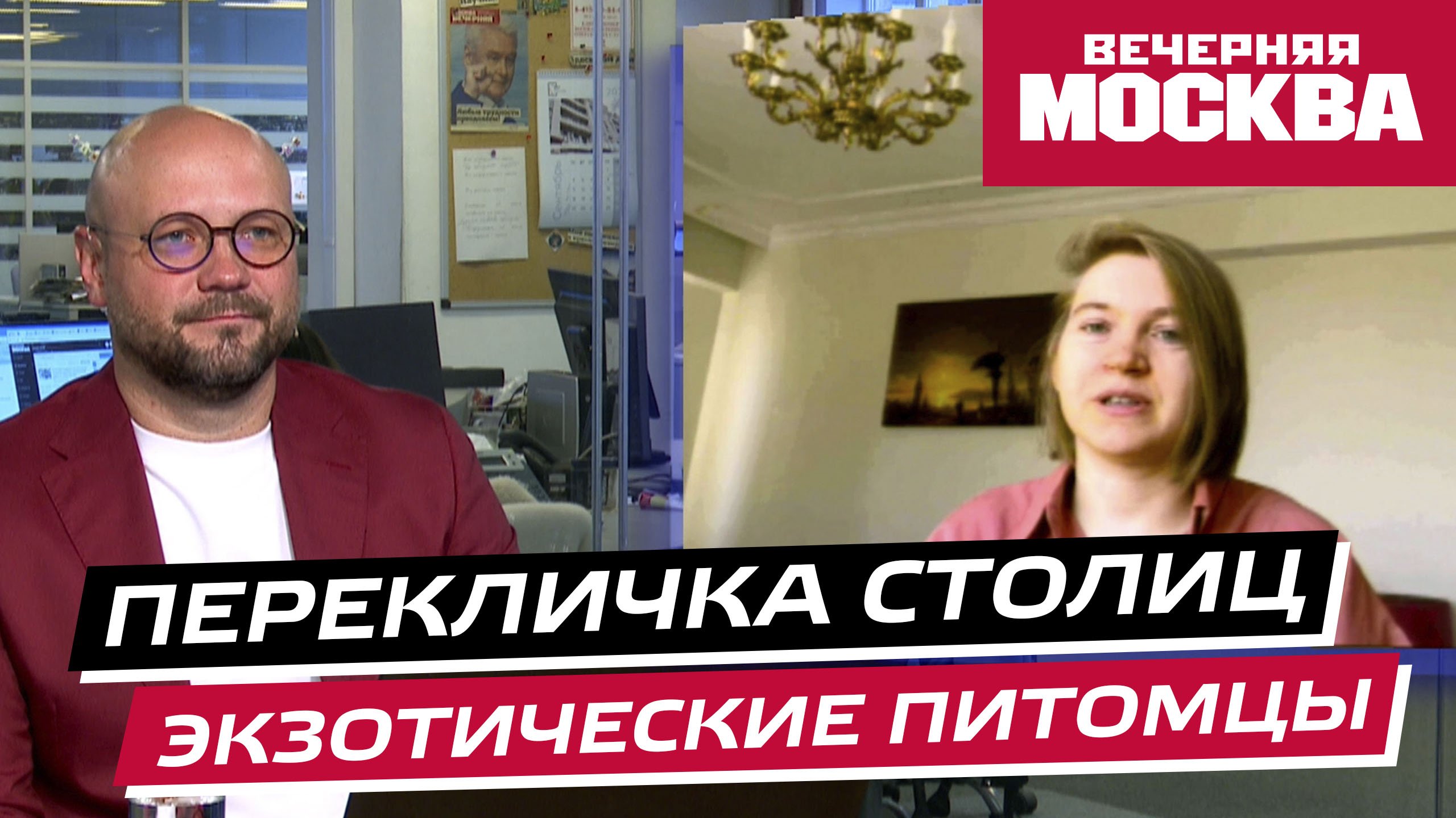 Экзотические домашние животные // Перекличка столиц