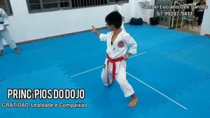 Treinamento de Heian Sandan e Godan