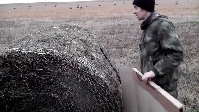 TG3 ланкастер - подготовка к охоте на медведя.