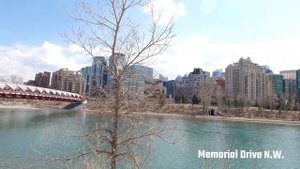 [4K] Walking Tour | Calgary Alberta | Canada