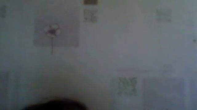 Видео с веб-камеры. Дата: 5 апреля 2013 г., 8:50. смотреть онлайн