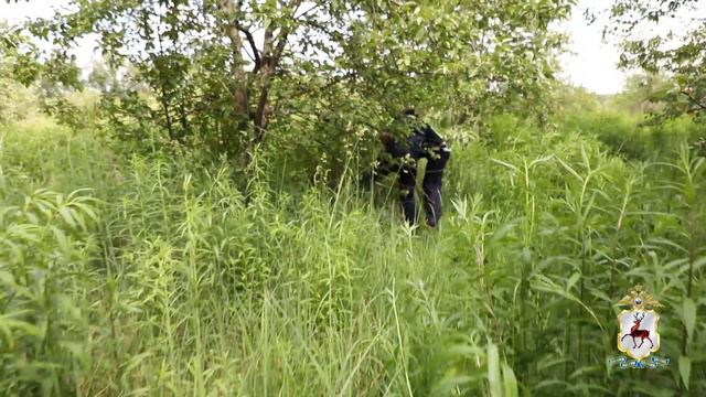 В Нижегородской области сотрудница ДПС помогла задержать нетрезвого водителя.
