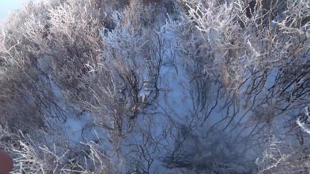 Охота на зайца - За новогодним зайцем))) смотреть онлайн