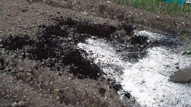 Грядка под зелень / Что внести в почву / Наглядный пример простой и быстрой подготовки грядки смотреть онлайн