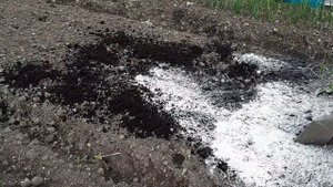 Грядка под зелень / Что внести в почву / Наглядный пример простой и быстрой подготовки грядки