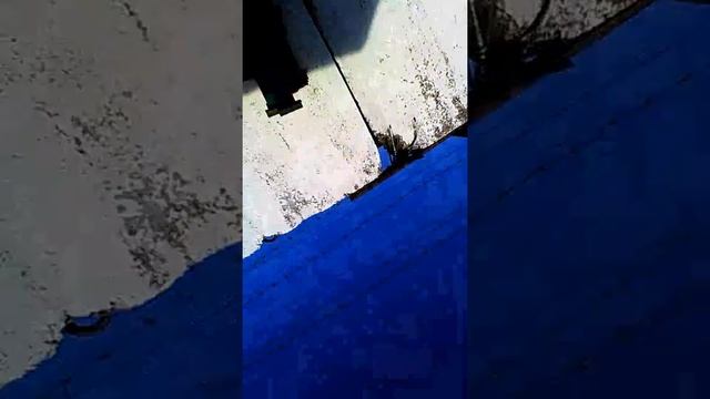 Бомжи на свадьбе смотреть онлайн