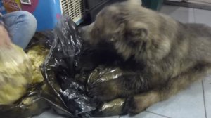 Тяжела работа завхоза