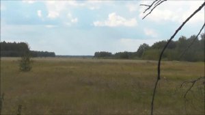 Охота на водоплавающую и боровую дичь. Часть 9. В поисках боровой дичи.