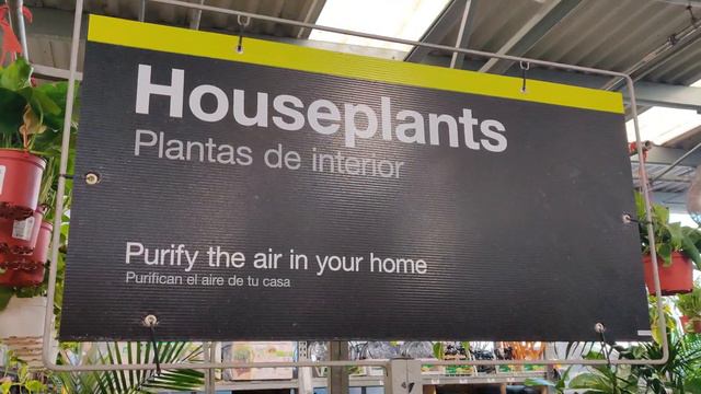 Home Depot Indoor Plants Shopping April 11 2022 смотреть онлайн