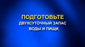 Поведение перед снежной бурей 01 2008 0044 02 05 11 01 02 203 0114