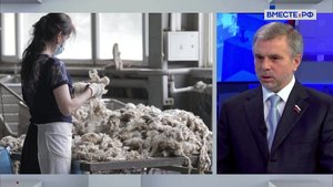 План развития глубокой переработки шерсти. Белан Хамчиев. Сказано в Сенате