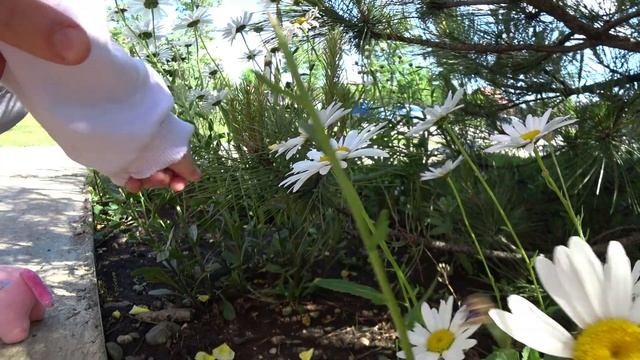 ДЕТСКИЙ ВЛОГ КРАСНОДАР - Эрика гуляет с родителями! смотреть онлайн