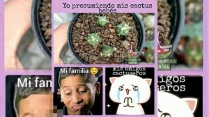 🤣🤣🤣🌵🌵🌵 REACCIONANDO A MEMES 👀🌵