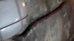 Замена масла и масленого фильтра Гранд Сценик 4 2017 1 6 dci 130 л с