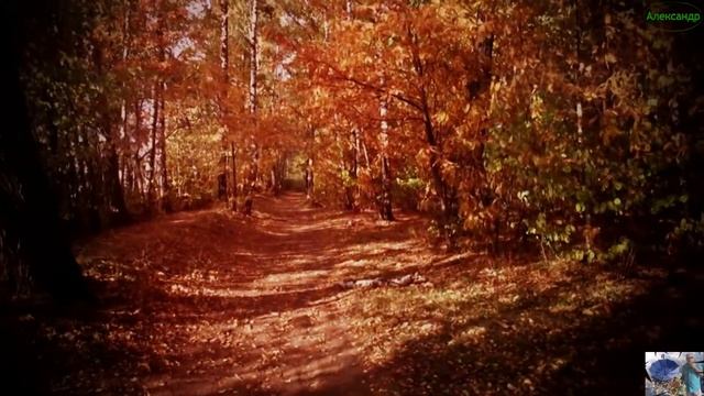 Андрей Даль Чужая смотреть онлайн