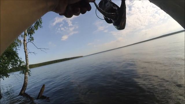 Рыбалка на фидер. Белоярское водохранилище 28 мая 2020 г.