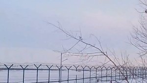 Редкие як 42 на взлете из Домодедово зима 2024