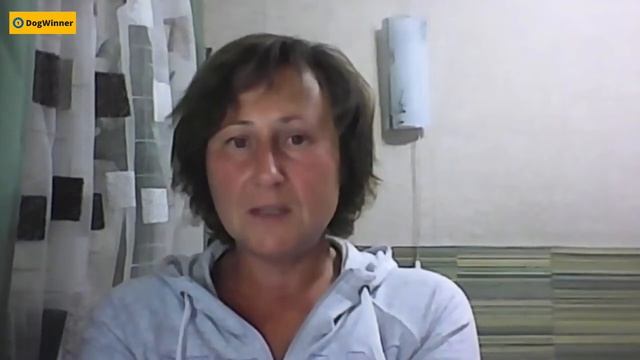 Как отучить собаку воровать со стола и шкафов? «Вопрос-ответ» с кинологом Татьяной Шамановой смотреть онлайн