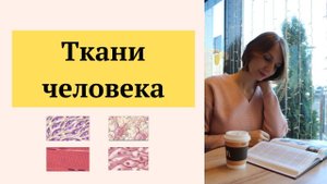 Анатомия. Ткани человека