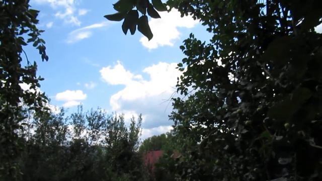 Остыло кофе... смотреть онлайн