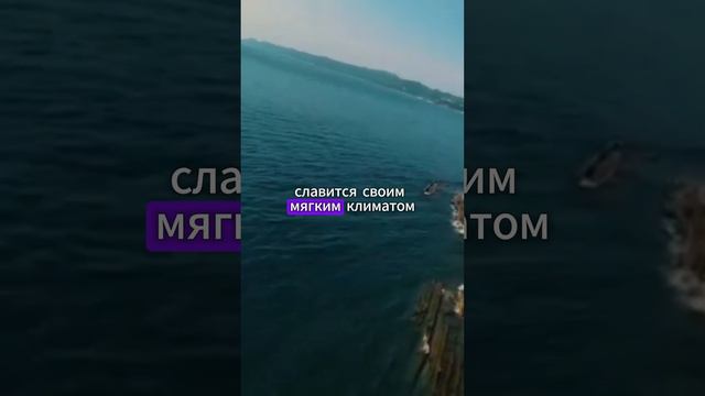 Лучший город для отдыха на море в России смотреть онлайн