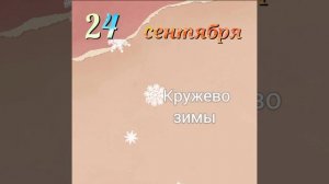 День кружева