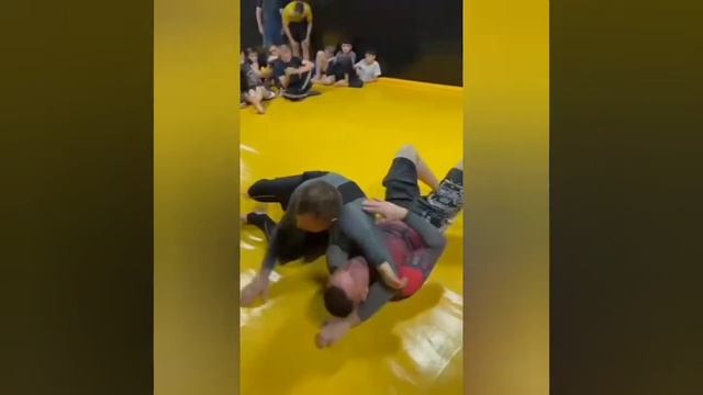 Открытый ковер Ludus Academy Barnaul по бразильскому джиу-джитсу (no-gi) 15 октября 2022 г, Барнаул смотреть онлайн