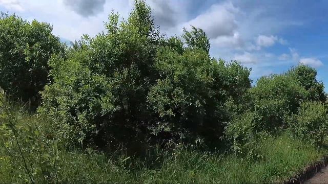 О подписчиках, даче и дороге. смотреть онлайн