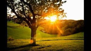 Как преодолеть уныние. Тихон Задонский #Тихон_Задонский #уныние