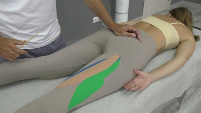 Бицепс бедра, Полусухожильная, Полуперепончатая мышца. Анатомический разбор задней поверхности бедр
