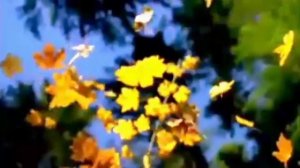 Образовательное занятие "В лес пойду грибы, ягоды найду" 1ч.