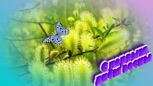 Футаж. С первым днём весны 10
