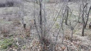 Выезд на берег р.Урал недалеко от двух мостов  в районе г. Новотроицк. Ужасающая картина.