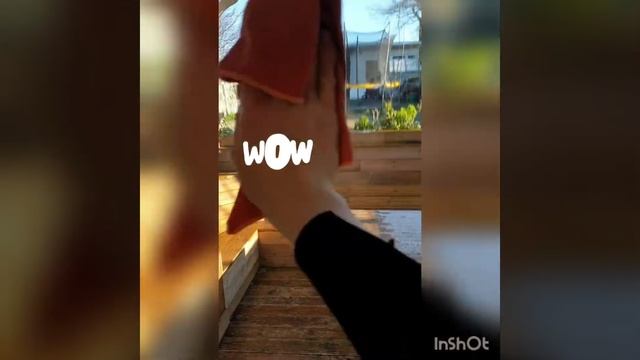 Greenway for glass. Sensation ‼️ Clean glass within minutes! ???