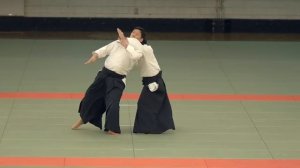 Aikido Demonstration - Kanazawa Takeshi - Kagamibiraki 2019 - 1_4