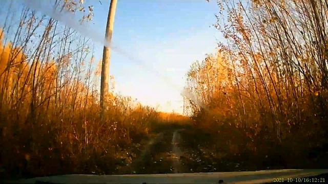 Почему в России не работает Брачный Договор смотреть онлайн