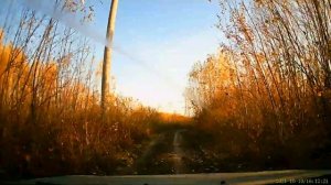 Почему в России не работает Брачный Договор