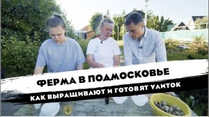 ФЕРМА УЛИТОК|КАК ВЫРАЩИВАЮТ И ГОТОВЯТ УЛИТОК|ЖИВАЯ КОСМЕТИКА|ЭКЗОТИКА ПО-БУРГУНДСКИ|ОТ СОХИ ДО СОХИ