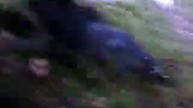 смешное видио Бой БАНДИТ VS АМОН смотреть онлайн