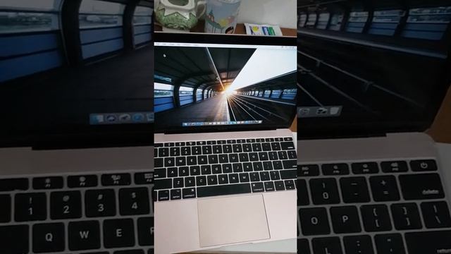 MacBook Retina 12 inci 2017 di tokped