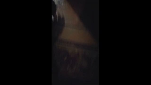 Рыбалка в Приморье.Уссури 30.10.20г. смотреть онлайн