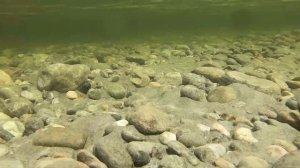 Китой. Саяны