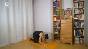 ЙОГА для пожилых 50+ (60+). Упражнения для эффективной жизни. Елена Гаврилова