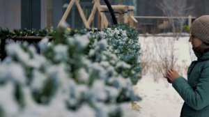 Как украсить к Новому году балкон или террасу