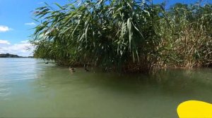 Каякинг в Краснодаре одним днём.