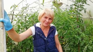 Перо в теплицу. Пух и перо как удобрение. Не выкидывайте старые подушки.