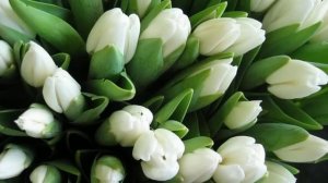 поздравления руководителю женщине прикольные