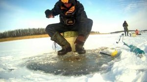 Ловля плотвы на мормышку со льда. Техника проводки.