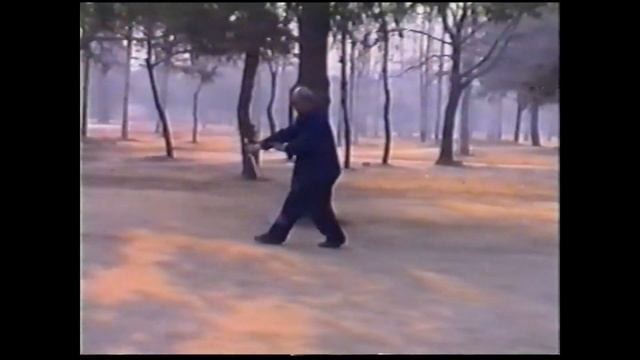 Тайцзицюань. Дэн Цзе меч Чэнь тайцзи ушу // Dan Jie sword taiji wushu Chen tai chi