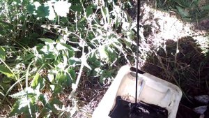 Замена масла самостоятельно. Меняем фильтр Skoda octavia tour 1 9 TDI AGR